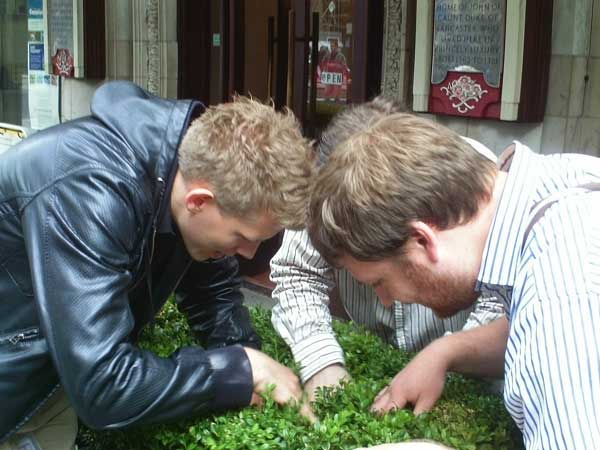 Three competitors searching for a clue in a Westminster flower bed.